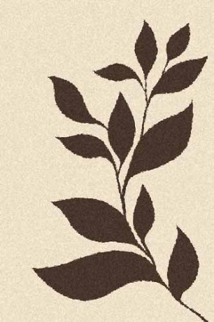 Прямоугольный ковер PLATINUM T647 CREAM-BROWN