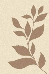 Прямоугольный ковер PLATINUM T647 CREAM-D.BEIGE