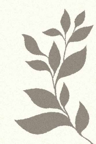 Прямоугольный ковер PLATINUM T647 NATURAL-GRAY