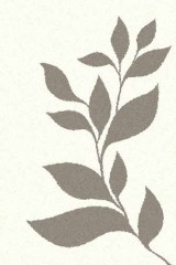 Прямоугольный ковер PLATINUM T647 NATURAL-GRAY