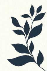 Прямоугольный ковер PLATINUM T647 NATURAL-NAVY