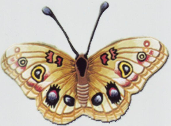 Китайский ковёр- Golden Falcon Brand MAZ - ручная работа