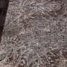 Ковёр SIERRA-D354-BEIGE-BROWN-2-STAN