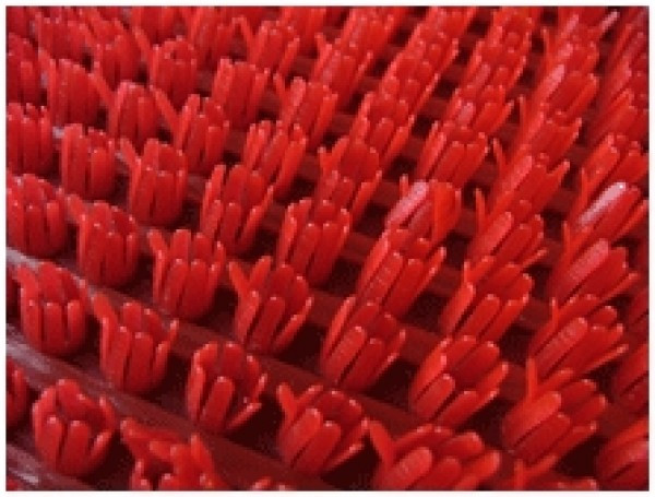 Щетинистое покрытие Кран №4