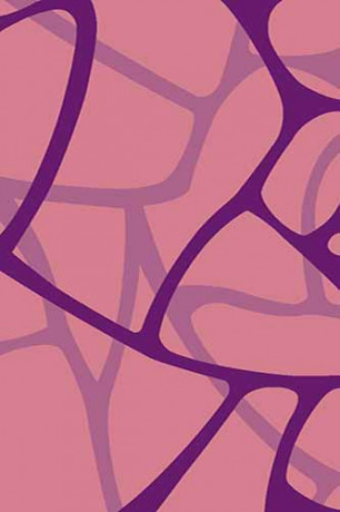 VISION DELUXE 21 Коричневый