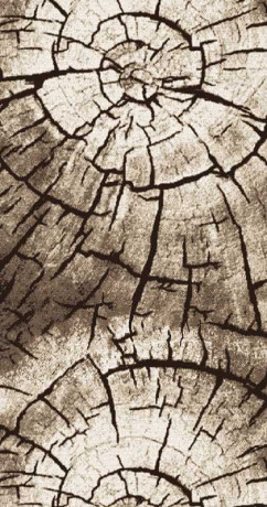 Ковровая тканная дорожка Диана 36