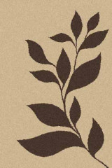 Прямоугольный ковер PLATINUM T647 BEIGE-BROWN